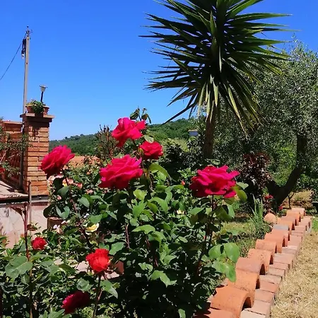 Guest house L'orangerie Capo d'Orlando