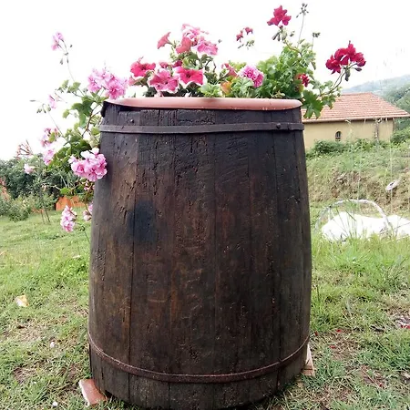 Guest house L'orangerie